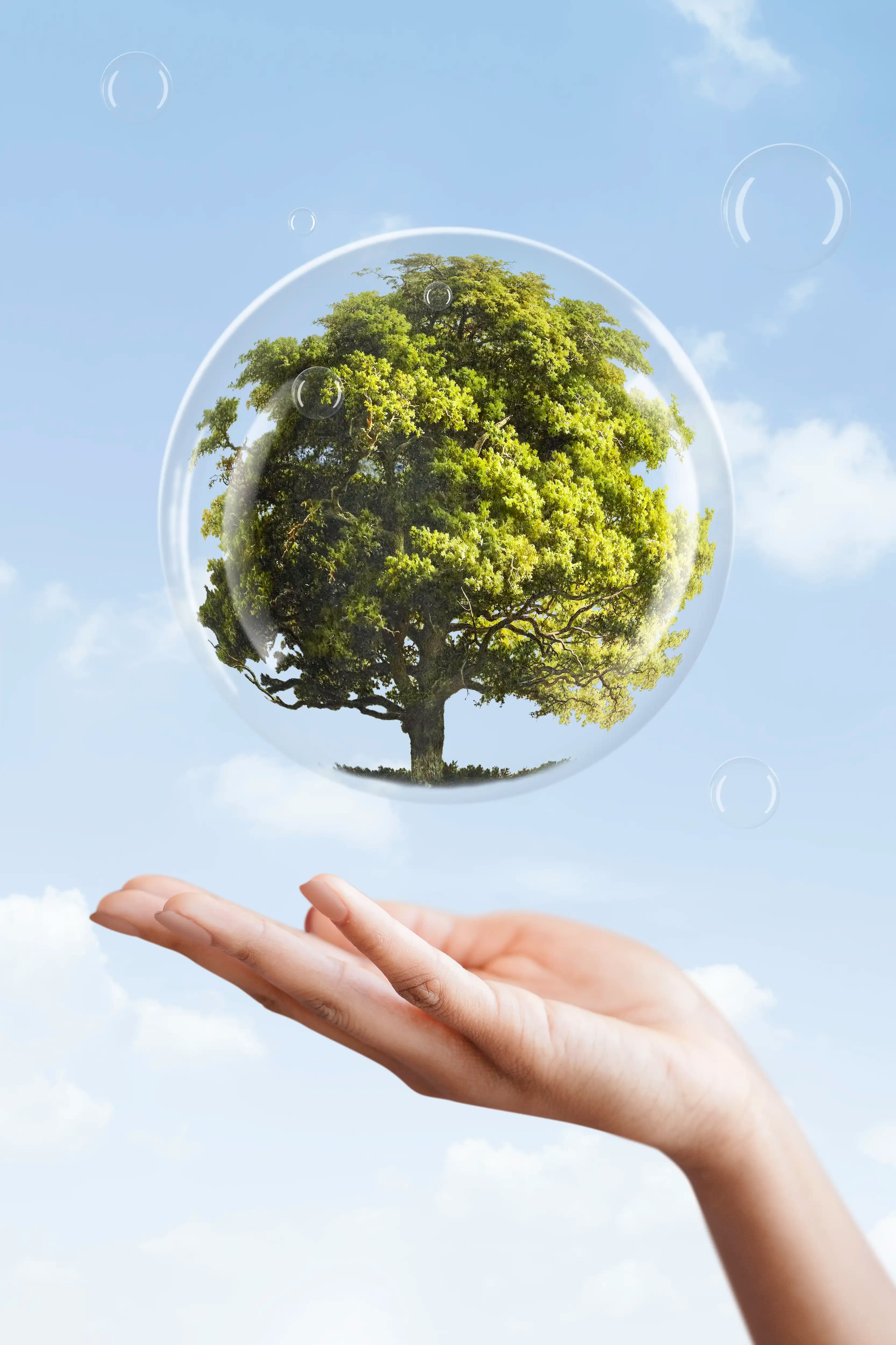 sustainability